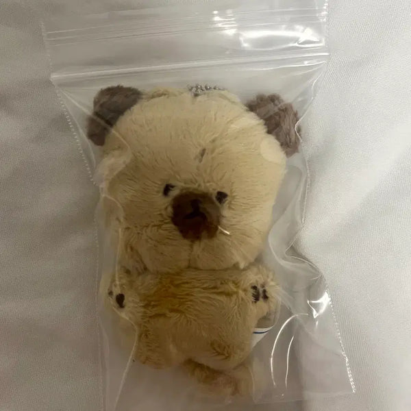 [BUNJANG] Jo Seung-woo Gomja Plush Doll / 조승우 곰자 솜인형 판매 솜자