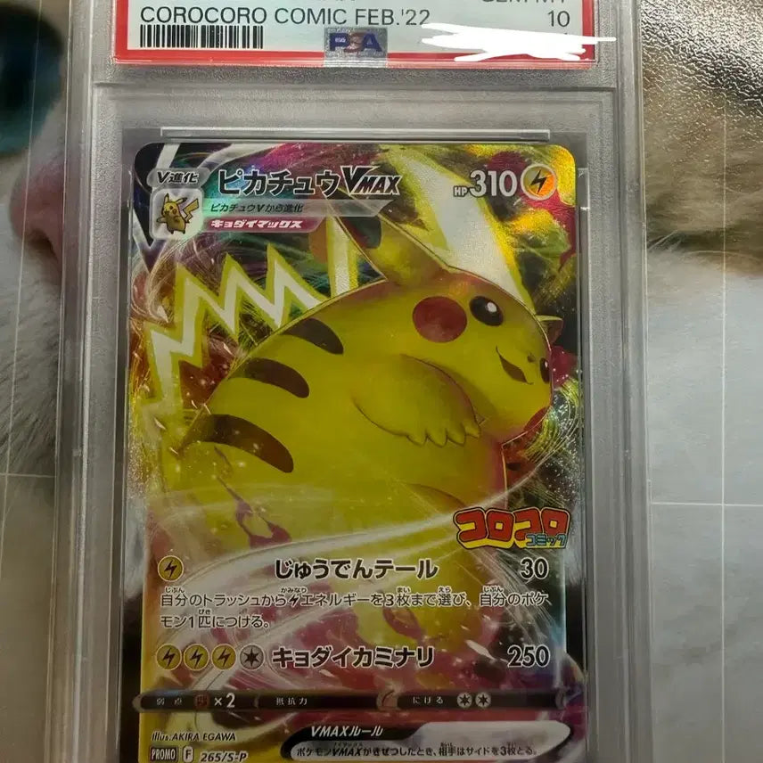[BUNJANG] Corocoro Magazine Promo Pikachu VMAX PSA 10 Card / 일판 코로코로 잡지 프로모 피카츄 psa10 뚱카츄 팝니다