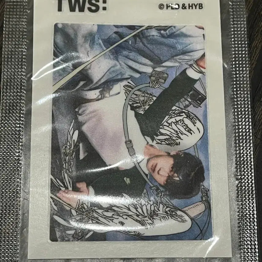 [BUNJANG] Tours Dohoon Mallang Cow Sticker Photocard / 말랑카우 투어스 도훈 띠부씰 포토카드