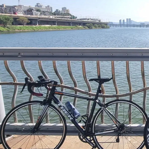 [BUNJANG] Trek One Series 1.2 Road Bike / !마지막 할인! 트렉 원시리즈 1.2 로드 자전거