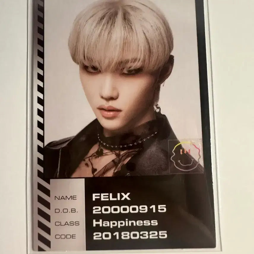 [BUNJANG] Stray Kids Felix Ordinary Album Photocard / 스키즈 필릭스 오디너리 앨포 ID카드 스트레이키즈 포토카드