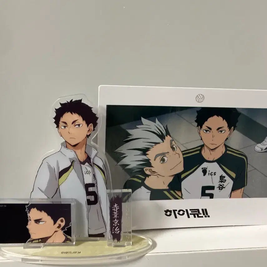 [BUNJANG] Haikyuu!! Akaashi Keiji Acrylic Stand / 하이큐 원가 이하 아카아시 케이지 아크릴