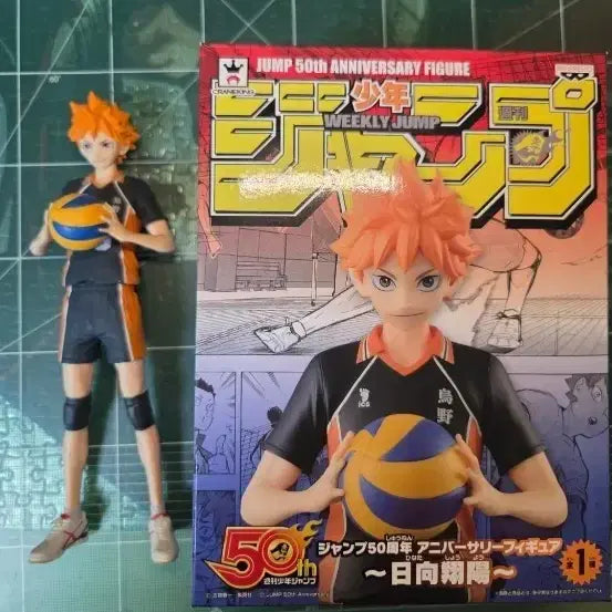 [BUNJANG] Haikyuu!! Shoyo Hinata Figure / 하이큐 히나타 피규어