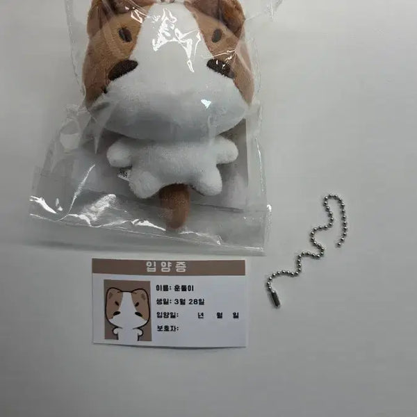 [BUNJANG] TWS Jihoon "Hundori" Plush Doll / 투어스 지훈 인형 훈돌이 판매