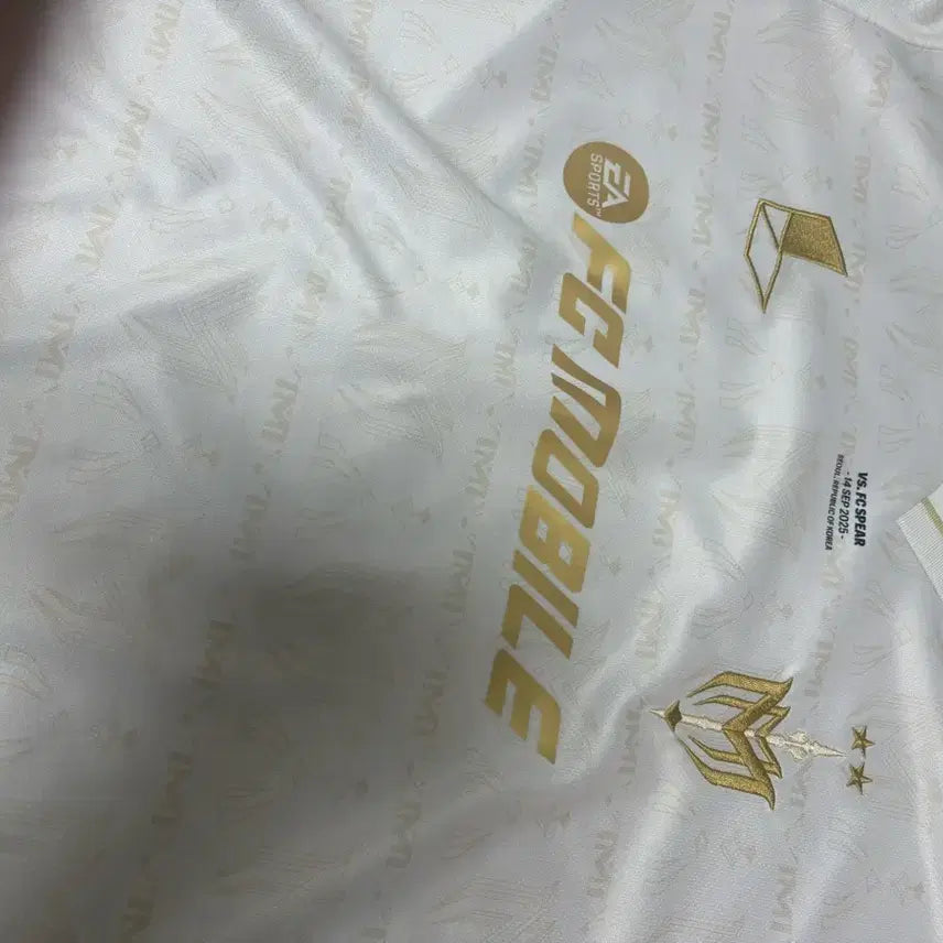 [BUNJANG] Limited Edition 2025 Icon Match Championship Jersey (Size M, Kashiwas Marking) / [한정판] 2025 아이콘매치 우승 기념 유니폼 M (Marking)