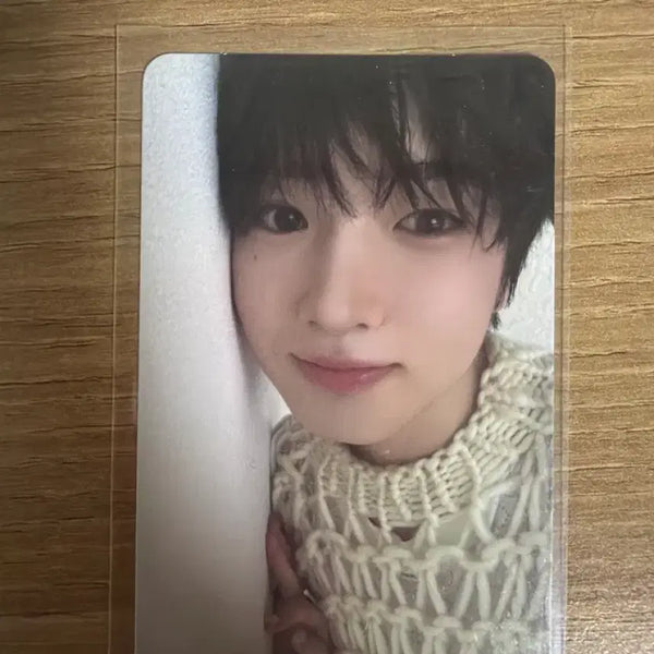 [BUNJANG] NCT WISH Sakuya Steady Finding Psyche Ver. Photocard / 엔시티 위시 사쿠야 스테디 Steady Finding Psyche Ver.