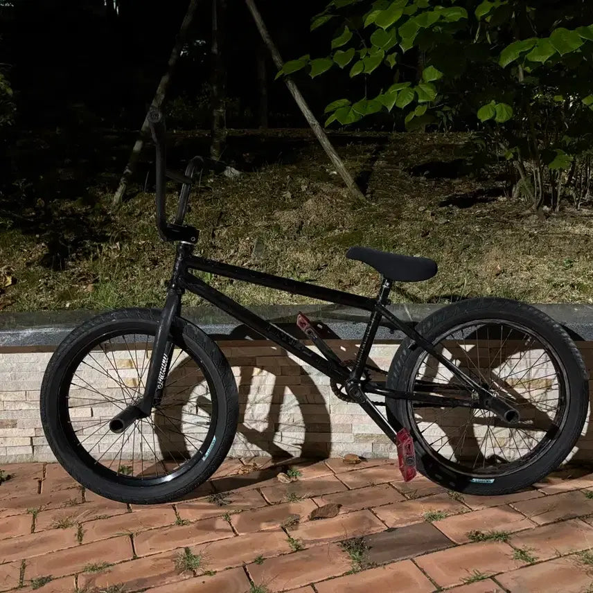 [BUNJANG] We The People Envy Custom BMX Bicycle / BMX 위더피플 엔비 envy 자전거