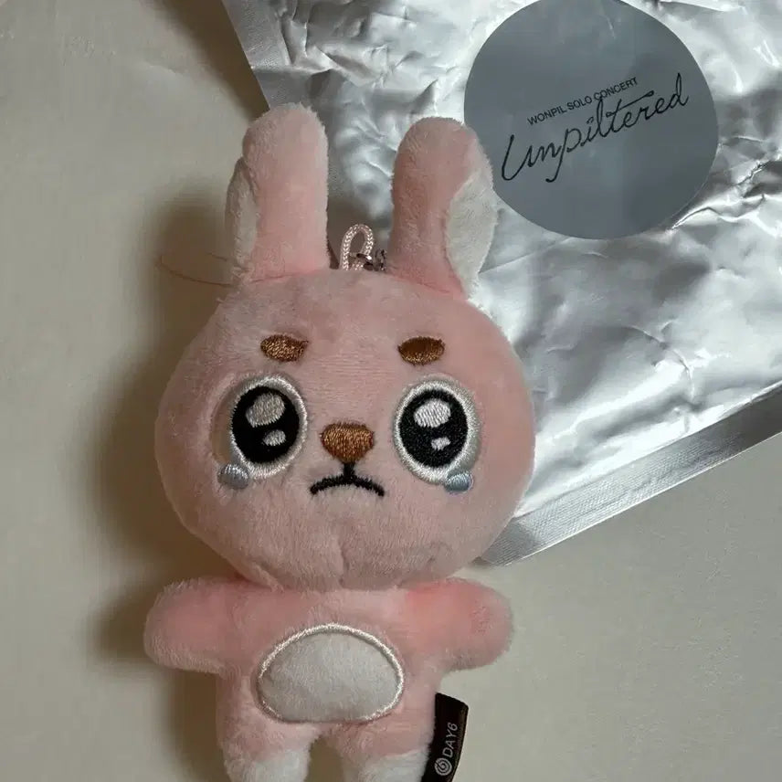 [BUNJANG] DAY6 Wonpil Unfiltered Secret Keyring / DAY6 원필 언필터드 시크릿키링 필끼 뿌엥필
