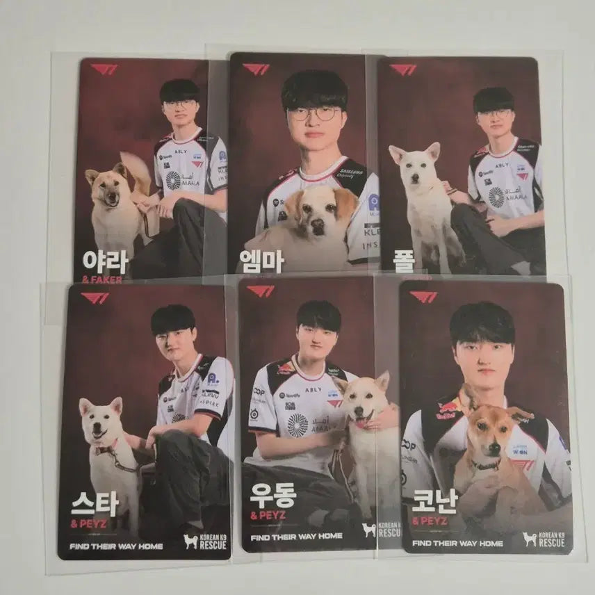 [BUNJANG] T1 Faker & Peyz Photocards Bundle Set / T1 티원 홈그라운드 홈그 kk9r 강아지 페이커 faker 페이즈 peyz 포카 판매