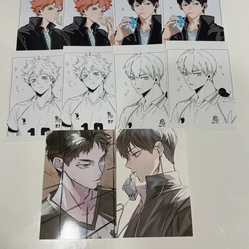 [BUNJANG] Haikyuu!! Printing Box Art - Ana & Bok-eo / 하이큐 프린팅박스 프박 아나님 복어님