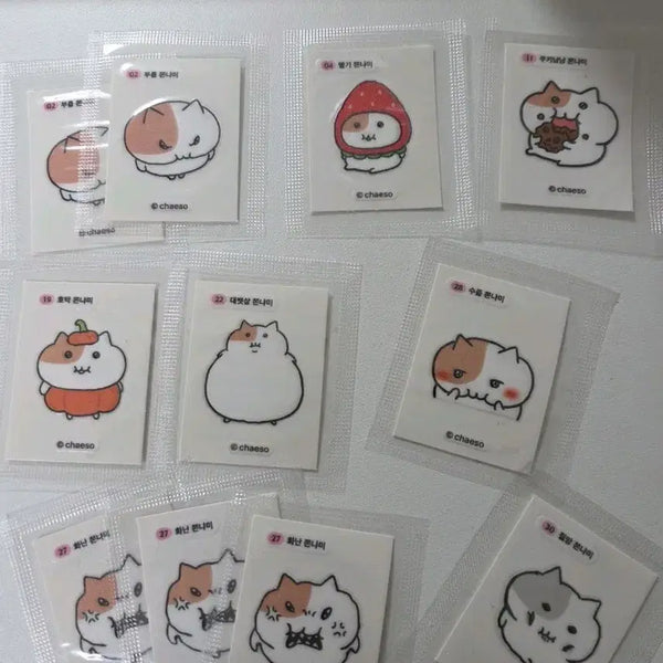 [BUNJANG] Jjonnyami Stickers / 쫀냐미 스티커
