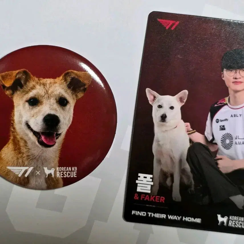 [BUNJANG] T1 Faker Dog Photocards and Pin Buttons Set / T1 홈그라운드 kk9r 페이커 강아지 포토카드 핀버튼
