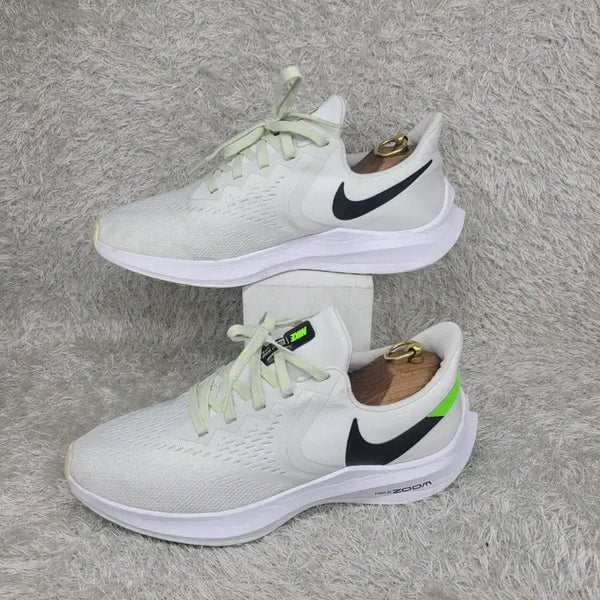 [BUNJANG] Nike Zoom Winflo 6 Platinum Sneakers / 265 나이키 줌 윈플로6 플래티넘 스니커즈