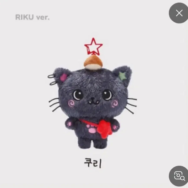 [BUNJANG] Wishdoll Kuri Sealed Doll / 위시돌 쿠리 미개봉