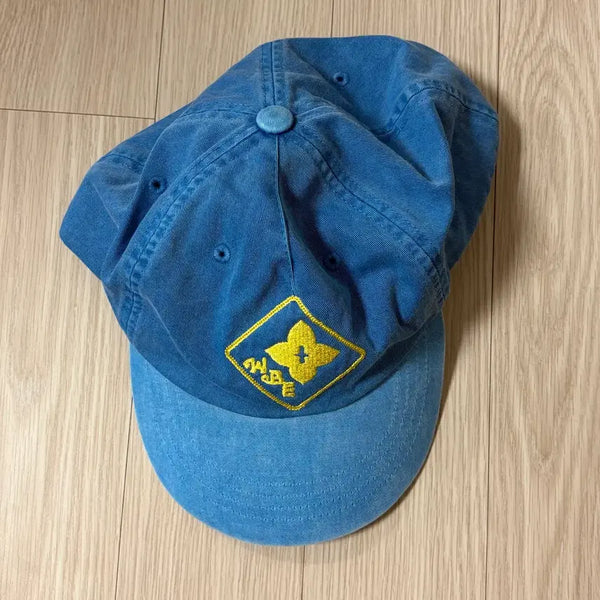 [BUNJANG] Wellbeing Express Blue Cap / 웰빙익스프레스 캡