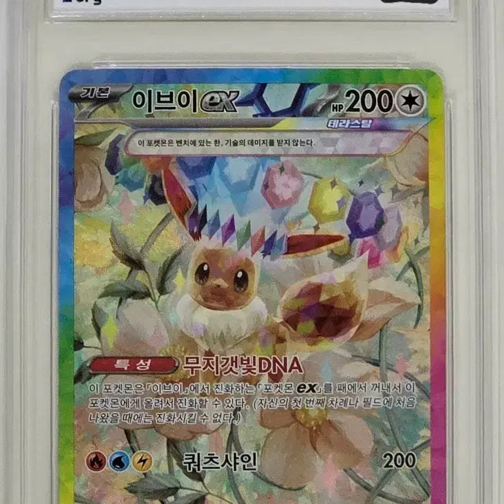 [BUNJANG] Pokemon Card Terrastal Eevee SAR BRG 10 / 포켓몬카드 테라스탈 이브이 SAR BRG 10