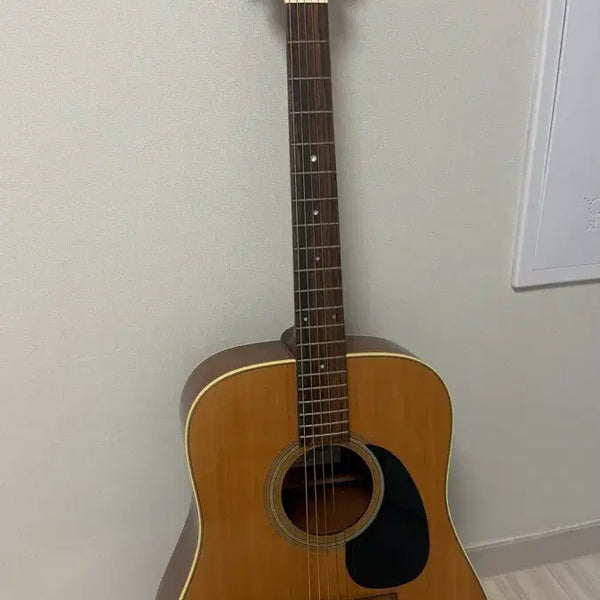[BUNJANG] Takamine Acoustic Guitar Natural / Takamine 타카미네 통기타 네추럴 색상
