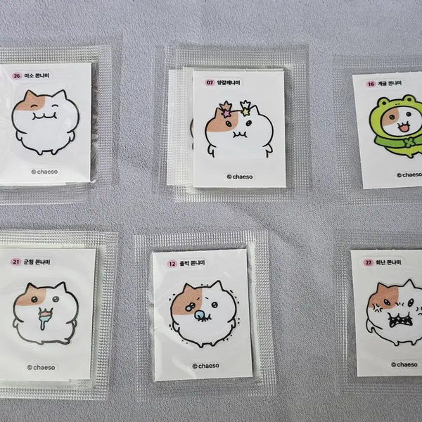 [BUNJANG] Jjonyami Ttibusil Sticker Set / 쫀냐미 띠부씰