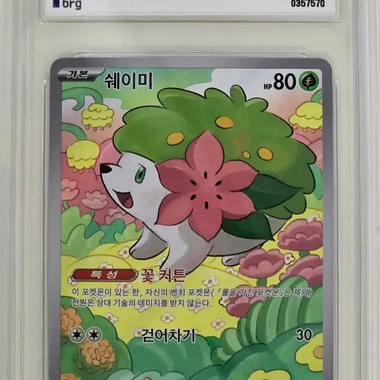 [BUNJANG] Pokemon Card Shaymin AR BRG 9 / 포켓몬카드 쉐이미 AR BRG 9