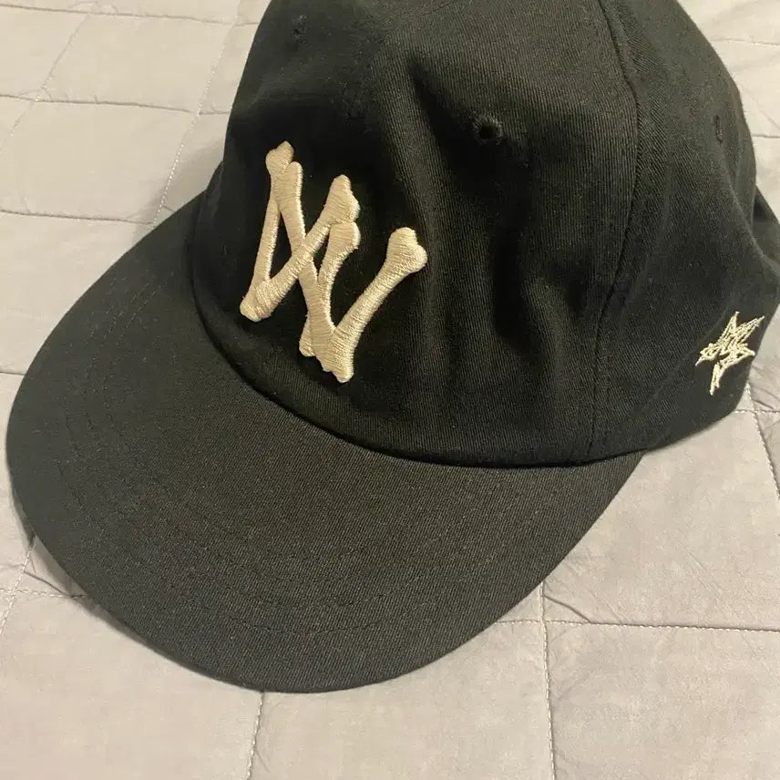 [BUNJANG] Aoiro 5-Panel Cap / 아오이로 5패널 캡