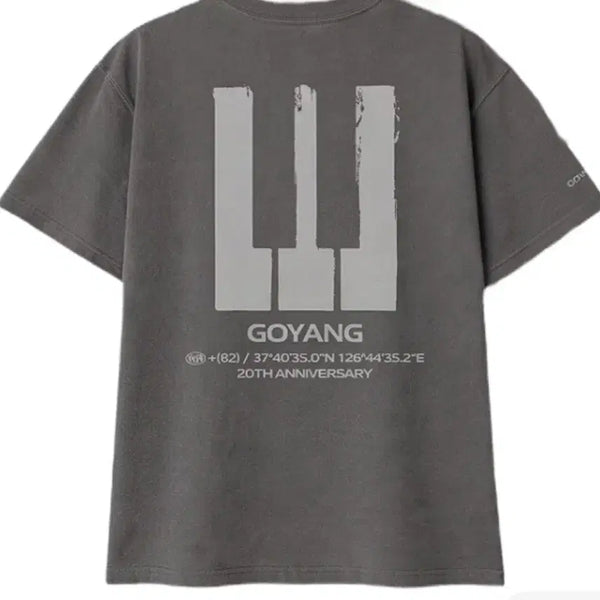 [BUNJANG] BIGBANG Cosmos T-Shirt Charcoal (M, XL) - Goyang Edition / XL 빅뱅 BIGBANG 콘서트 팝업 엠디 코스모스 티셔츠 차콜 - 고양 에디션