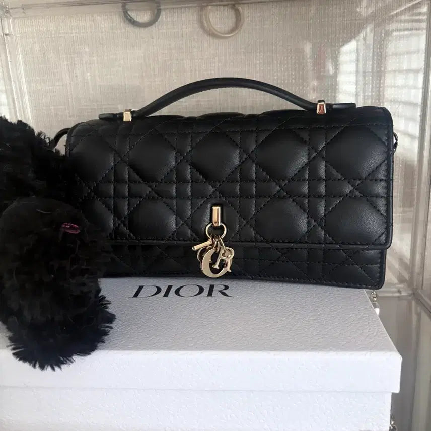 [BUNJANG] Dior Mini Bag Black / 마이 디올 미니백 블랙 25.04 구매