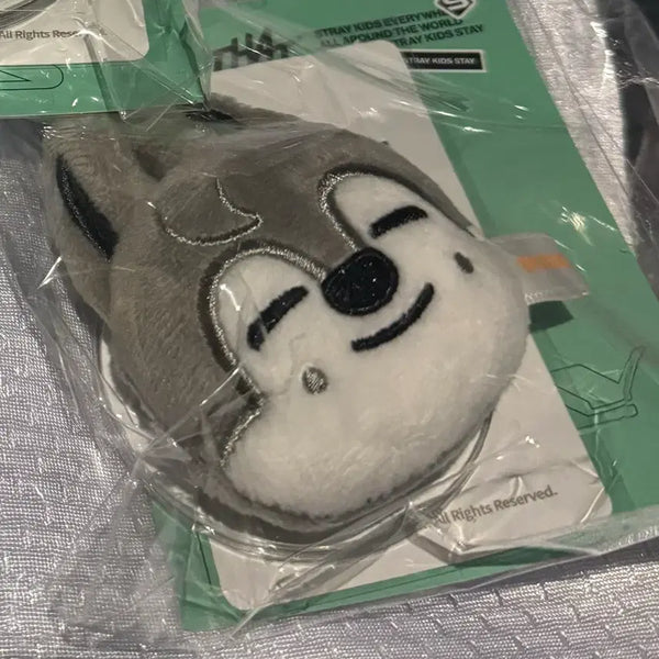 [BUNJANG] Stray Kids Wolfchan Magnetic Holder Grip Tok / (포카x) 스트레이키즈 스키즈 straykids this&that 팝업 마그네틱 홀더 그립톡울프찬