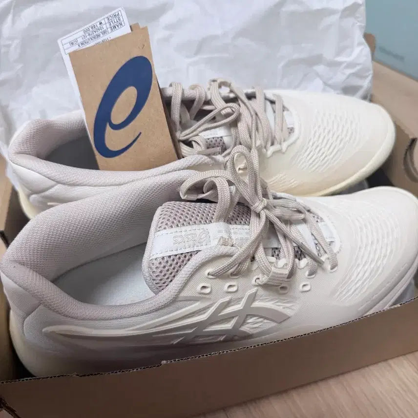 [BUNJANG] Asics Gel-Resolution Tennis Shoes / 아식스 테니스화 젤 레졸루션 250 올코트용 새제품