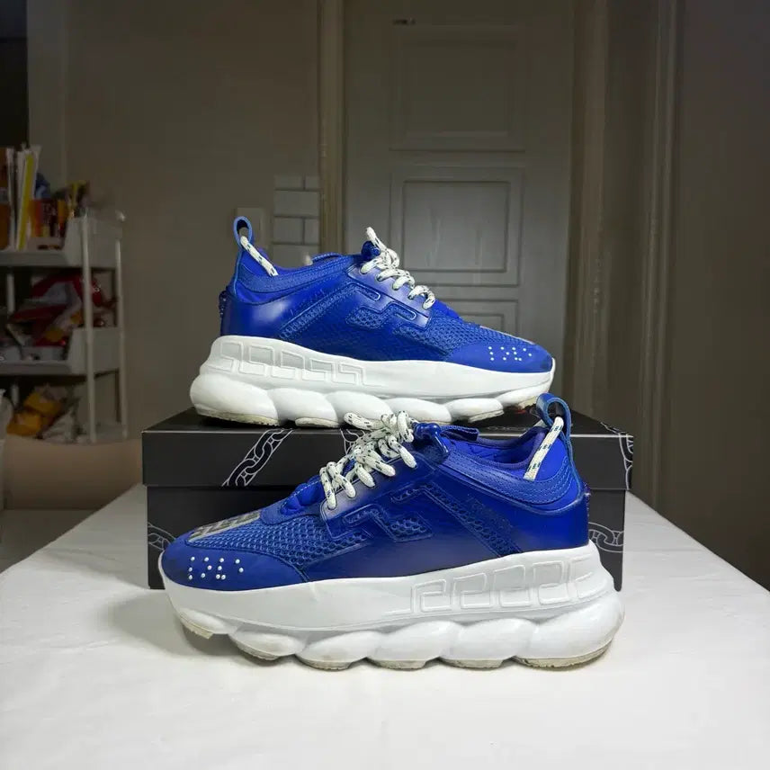 [BUNJANG] Versace Chain Reaction Mesh Rubber Sneakers / [40.5사이즈]베르사체 체인 리액션 메쉬 러버 스니커즈