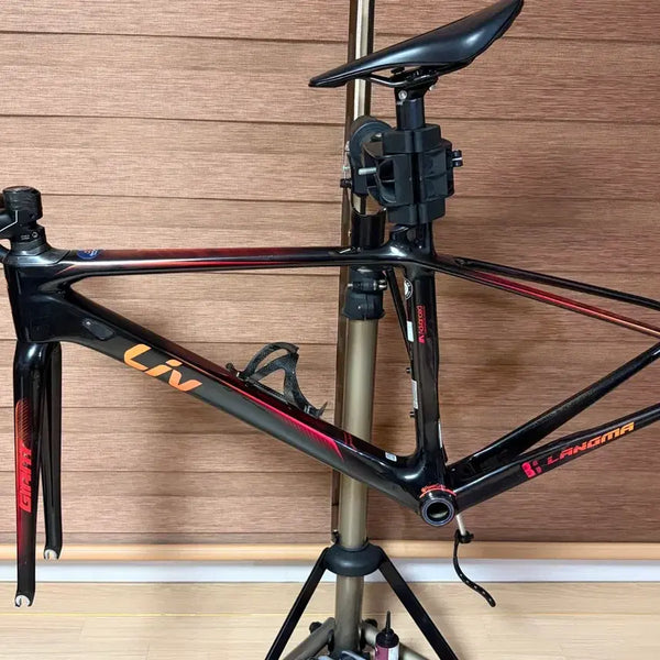 [BUNJANG] Liv Langma Carbon Frame Set & Wheelset / 리브 랑마 자전거 프레임셋 &  휠셋 판매합니다