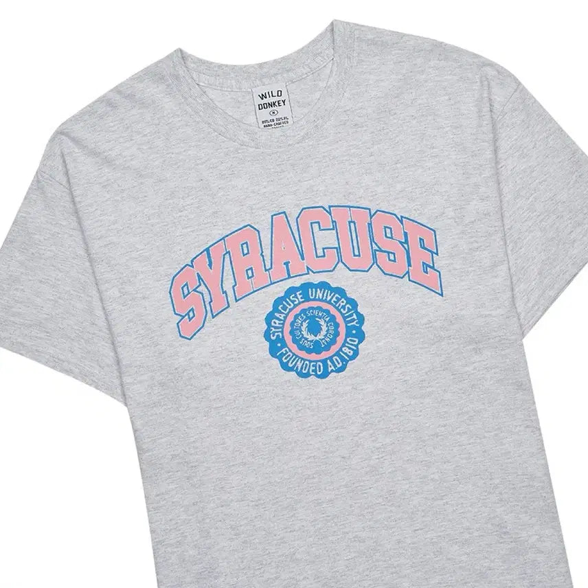 [BUNJANG] Wild Donkey Syracuse University Graphic T-Shirt (Heather Gray, XL) / [XL] 와일드동키 시라큐스 그레이 반팔티