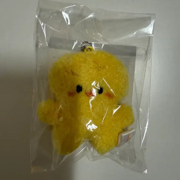 [BUNJANG] Skzoo Micro Keyring Bbokari Sealed / (미개봉) 스키주 키링 마이크로 뽁아리 원가양도