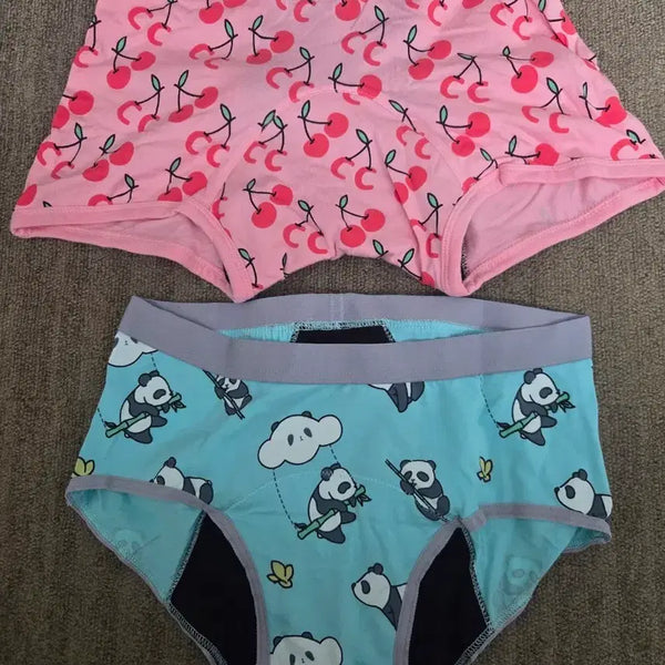 [BUNJANG] Cycline Period Panty Set (4 pcs) / 싸이클린 생리팬티