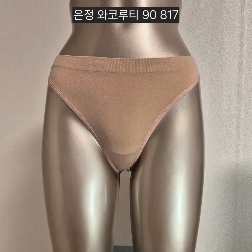 [BUNJANG] Wacoal Panty - Skin Tone - Size 90 / 중고 여성 팬티 와코루티 은정 90