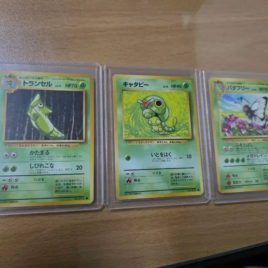 [BUNJANG] Pokemon Old Back Butterfree Evolution Set / (포켓몬) 올드백 버터풀 진화세트