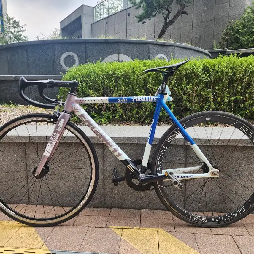 [BUNJANG] Engine11 Metal Blue Frame Set S / 엔진11매탈블루