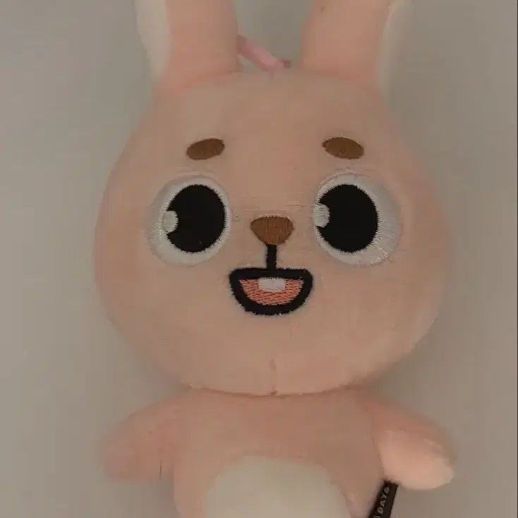[BUNJANG] Day6 Young K (Pilkk) Denimals Plush / 데이식스 인형 필끼 데니멀즈 데멀 필끼 2024