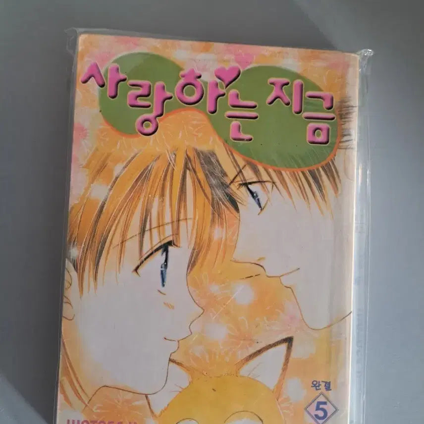 [BUNJANG] Does Now Love 1-5 Complete Set Manga / 만화책 사랑하는 지금 1-5권 완결
