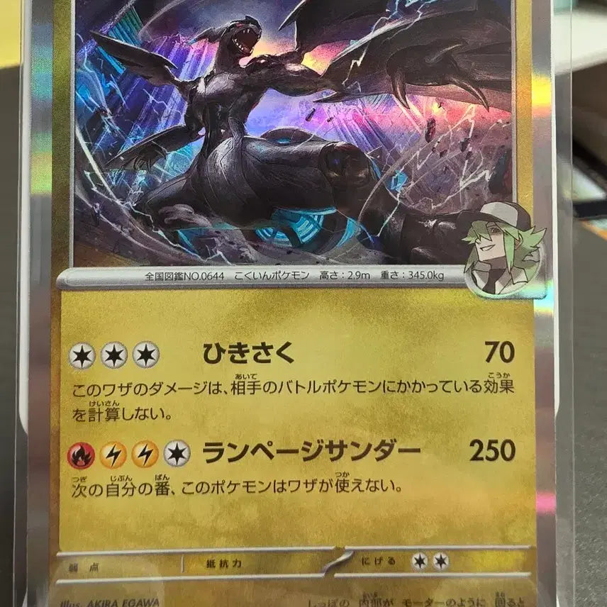 [BUNJANG] Pokemon Card Zekrom Japanese / 포켓몬 카드 제크로무 일판