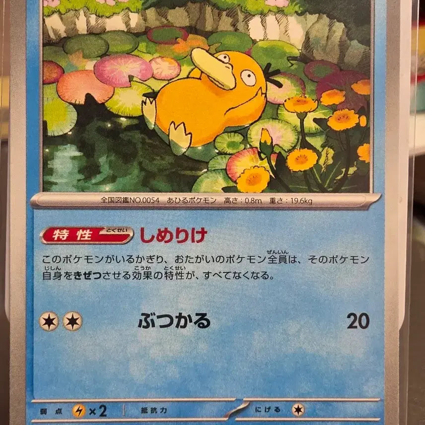 [BUNJANG] Psyduck Pokemon Card Japanese / 고라파덕 포켓몬 카드 일판