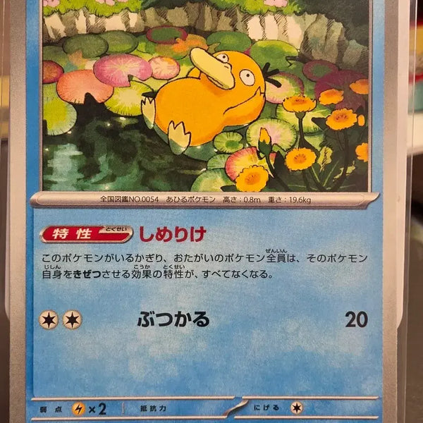 [BUNJANG] Psyduck Pokemon Card Japanese / 고라파덕 포켓몬 카드 일판