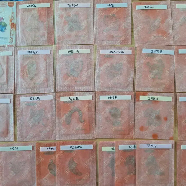 [BUNJANG] Pokemon Artwork Seals Bundle Set (Sealed) / 아트워크씰 미개봉 일괄판매