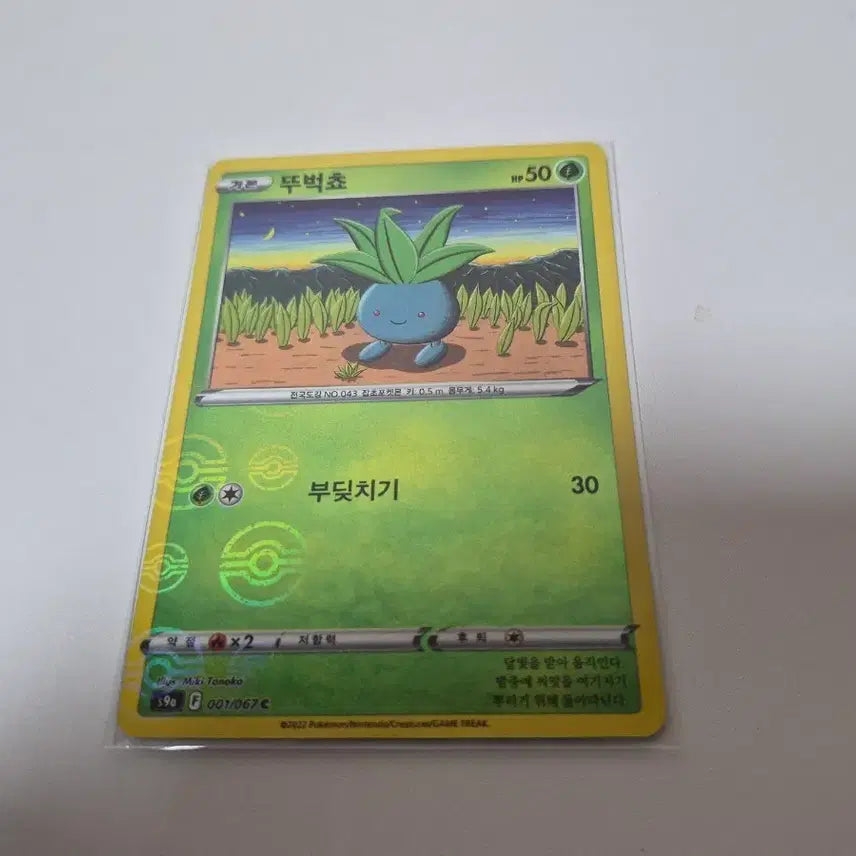 [BUNJANG] Pokemon Card Parasol 001/067C Monster Ball Rare / 포켓몬 카드 뚜벅쵸 몬스터볼 001/067C