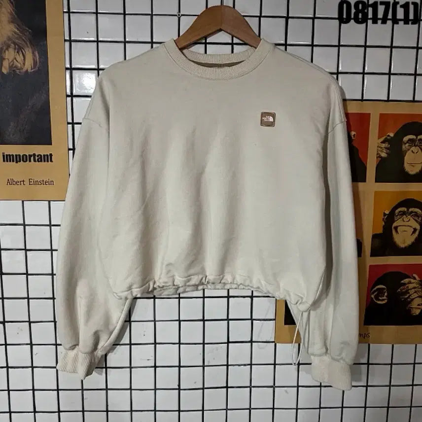 [BUNJANG] The North Face Cropped Sweatshirt Beige Size S / 노스페이스 크롭 맨투맨 S 0817