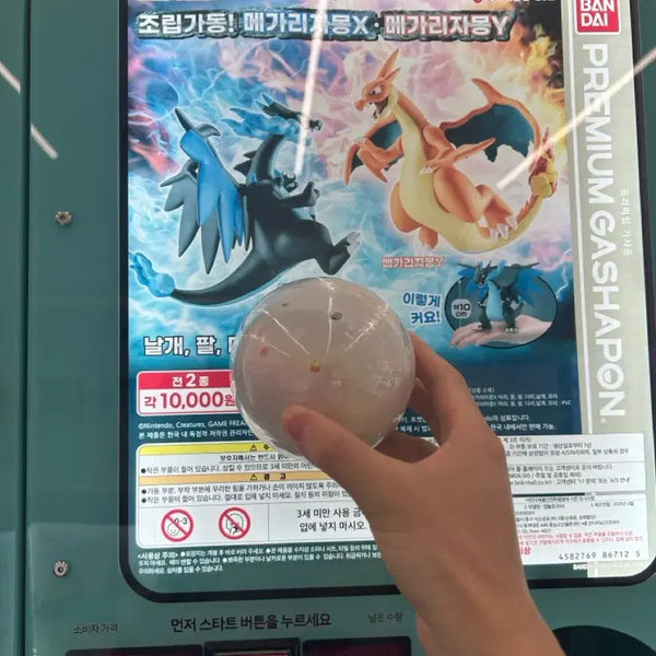 [BUNJANG] Mega Charizard Y Gacha Figure / 메가리자몽가챠