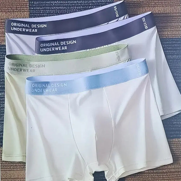 [BUNJANG] Men's Breathable Briefs 4-Piece Set / 남자 통기성드로즈 팬티 4종 세트