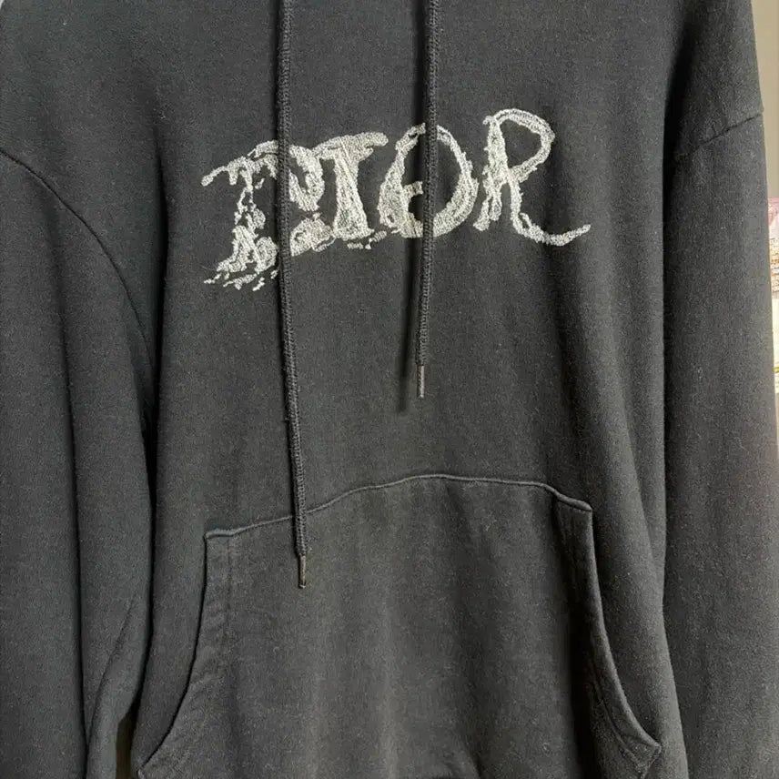 [BUNJANG] Dior Peter Doig Collaboration Logo Hoodie Black / 디올 후드티