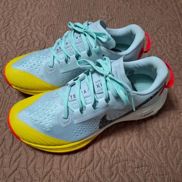 [BUNJANG] Nike Terra Kiger Trail Running Shoes 230 / 나이키 테라 카이거 트레일 러닝화 운동화 230 [4206]