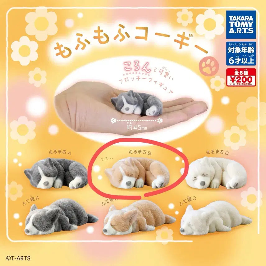 [BUNJANG] Sealed Mofumofu Welsh Corgi Gacha / 미개봉 모후모후 웰시코기 가챠