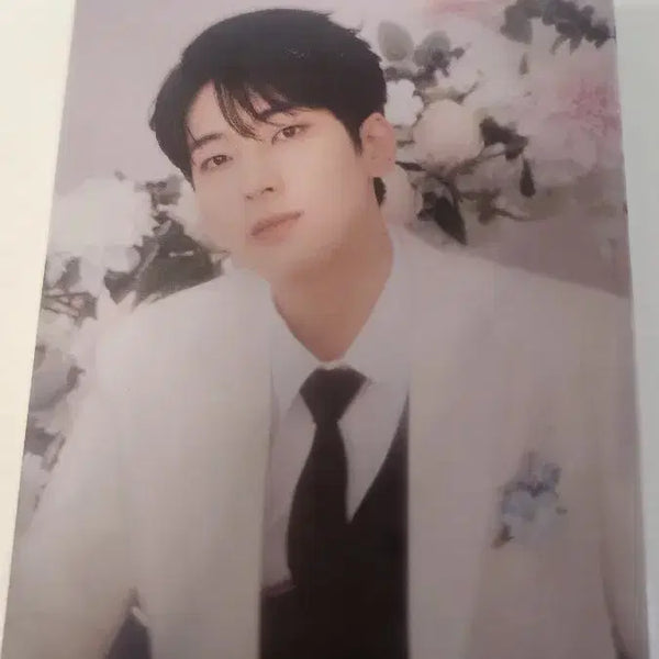 [BUNJANG] SEVENTEEN Wonwoo Carat Version Photocard / 세븐틴 원우 캐럿반